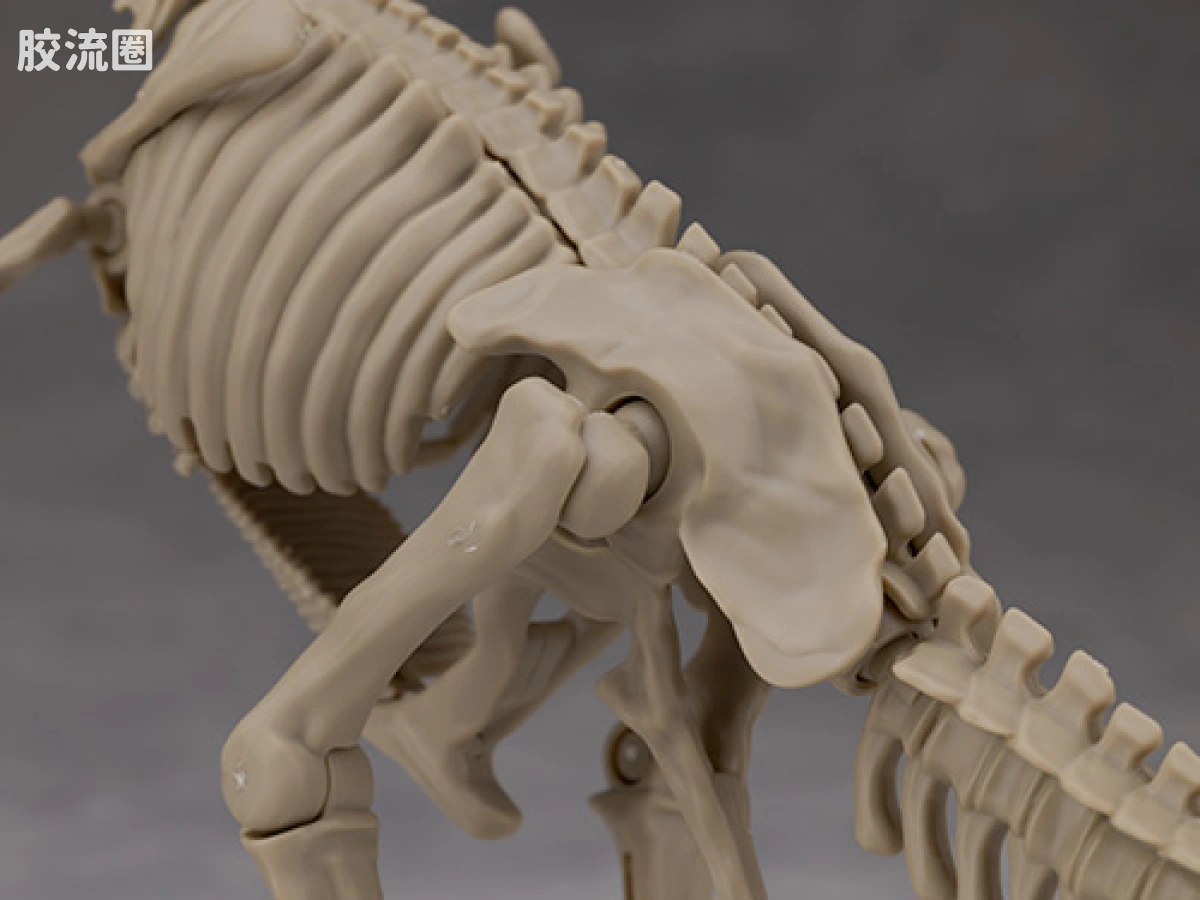 万代综合拼装模型系列 Plannosaurus <侏罗纪世界 重生> 霸王龙 - 图片